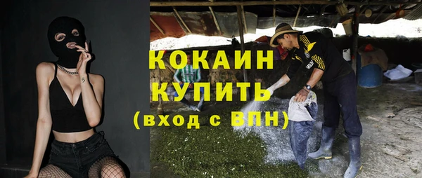 ГАЛЛЮЦИНОГЕННЫЕ ГРИБЫ Коряжма