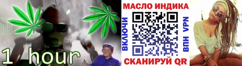 OMG   цена наркотик  Новотроицк  ТГК концентрат 