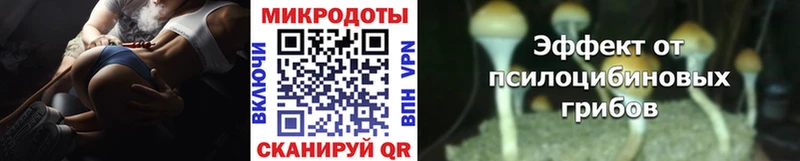 Галлюциногенные грибы Magic Shrooms  Новотроицк 