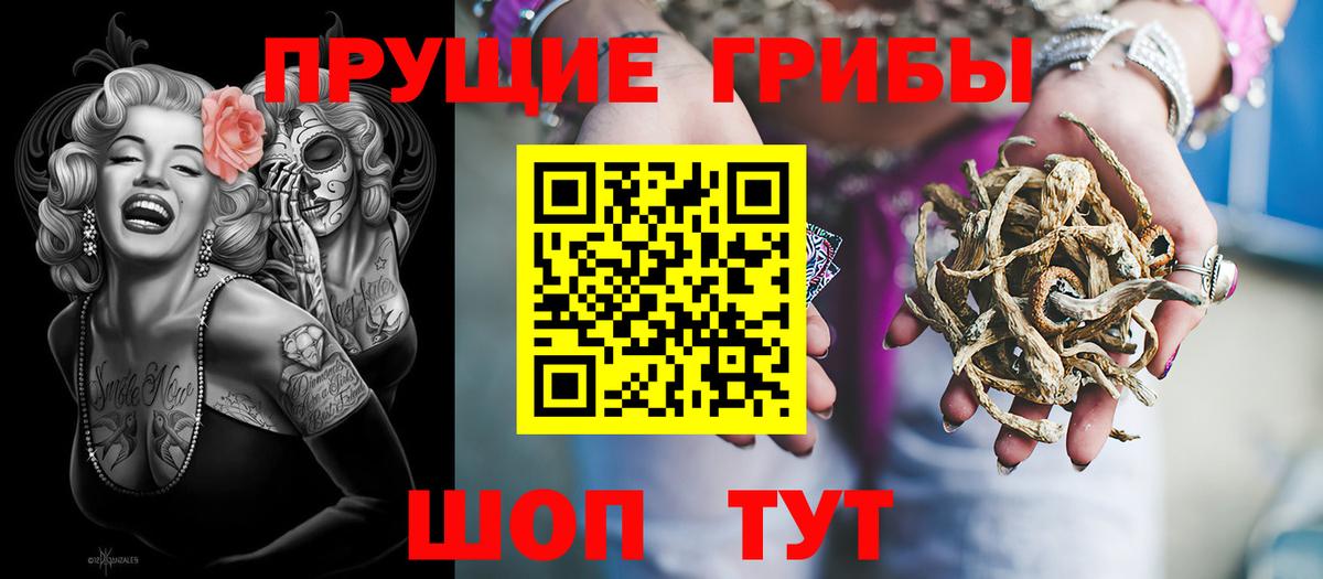 Галлюциногенные грибы Cubensis  Галлюциногенные грибы Psilocybe  Вход с VPN  Новотроицк 